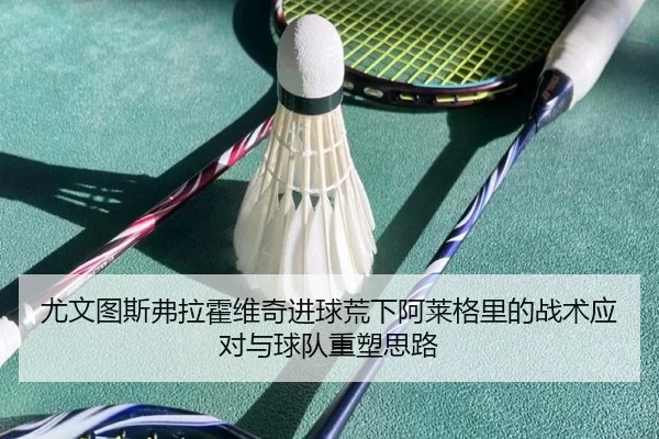 尤文图斯弗拉霍维奇进球荒下阿莱格里的战术应对与球队重塑思路
